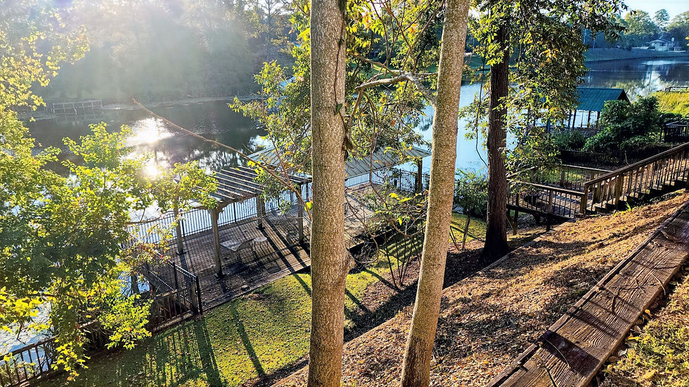 View of Cane River Lake from the rear veranda at Violet Hill Bed and Breakfast in Natchitoches Louisiana