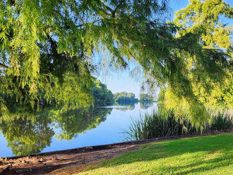 Lush green trees overhang a calm lake, reflecting the vibrant greenery under a clear blue sky, creating a serene and peaceful scene.