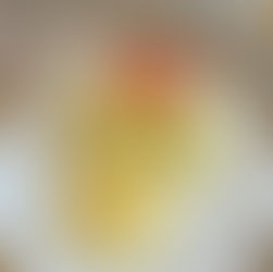 Wonderful Stay at the Judge Porter House!