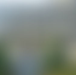 A dramatic low-angle architectural photograph of the Queen Anne Bed and Breakfast front exterior.