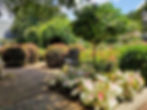 Sunny garden with a wrought iron bench, colorful foliage, and blooming shrubs. Lush greenery and a lamppost create a peaceful scene.
