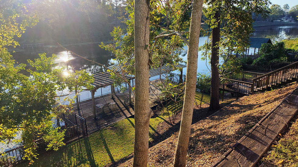 scene from a river bank of a boat dock on Cane River Lake on a sunny morning.