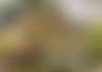 Exterior of the 1912 Judge Porter House, a flagship Edwardian luxury historic inn in Natchitoches, LA