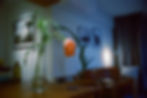 Thumbnail: Reflx Lab 800 35mm Tungsten-balanced color film (no RemJet layer)