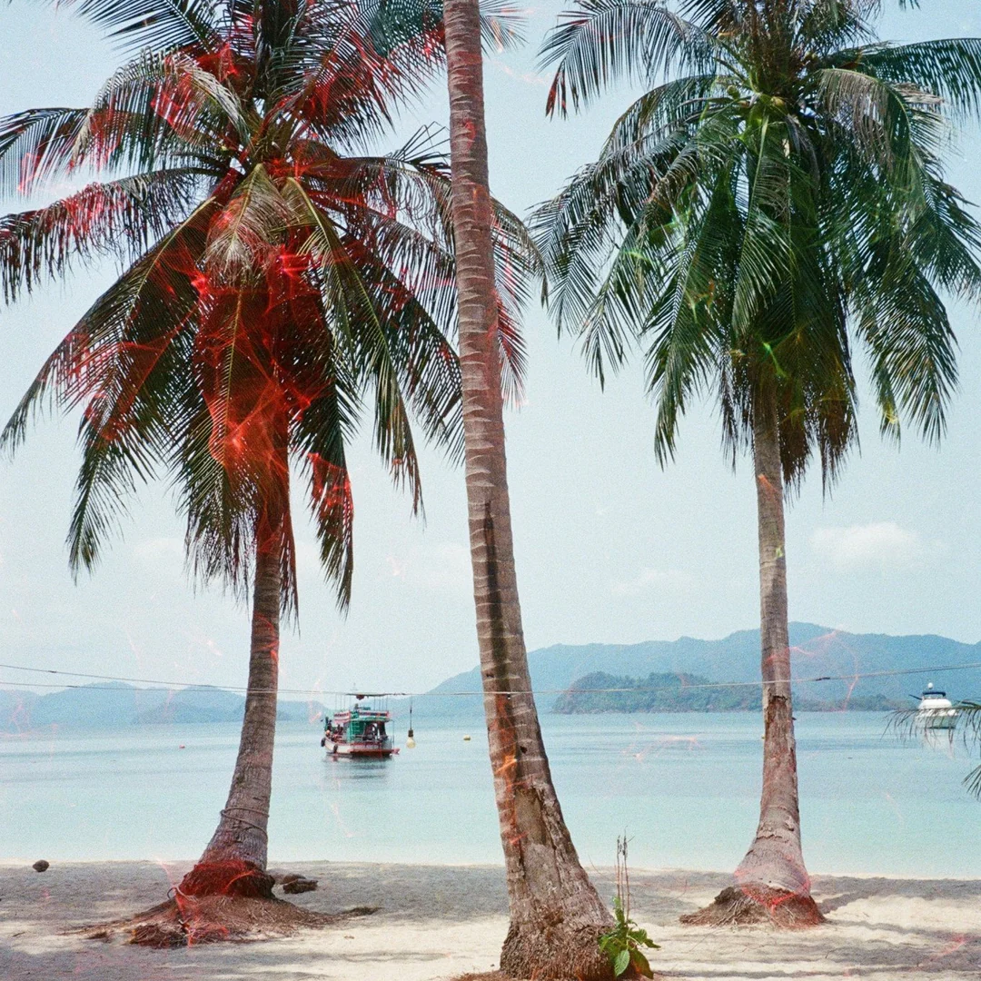 Revolog Echo 35mm special effects film Decisive Moment