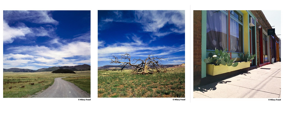 Thumbnail: Harman Phoenix II 35mm color film