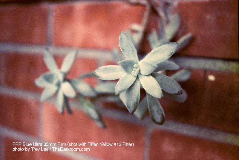 Thumbnail: FPP Blue Ultra 35mm film