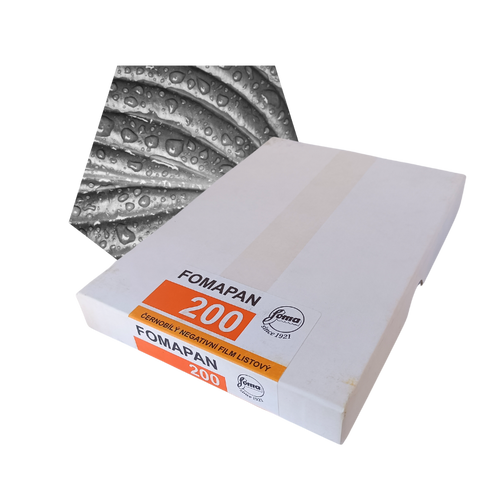Foma Fomapan 200 Creative 4x5 Sheet film (50 sheets) Decisive
