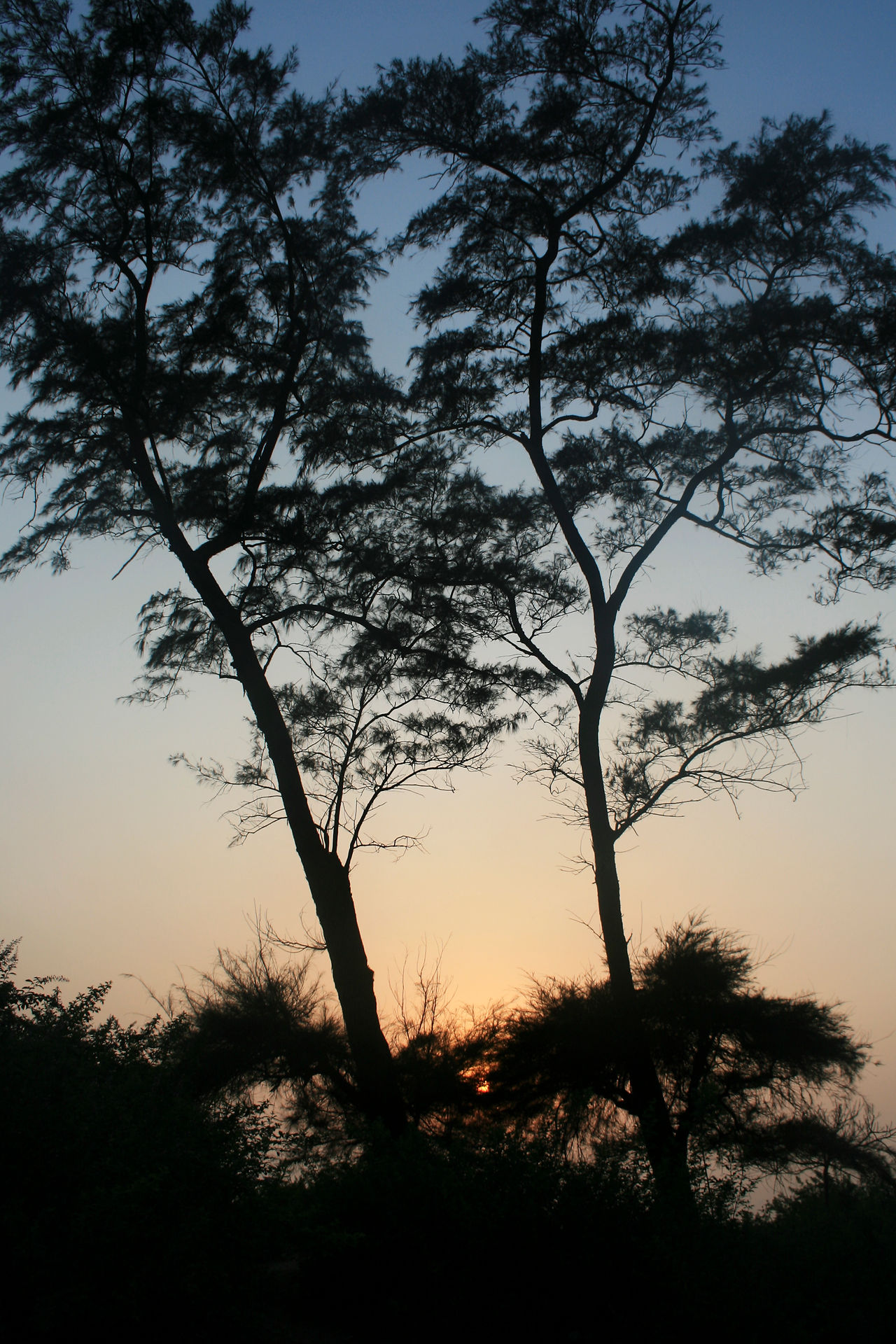 20090302_IMG_2213