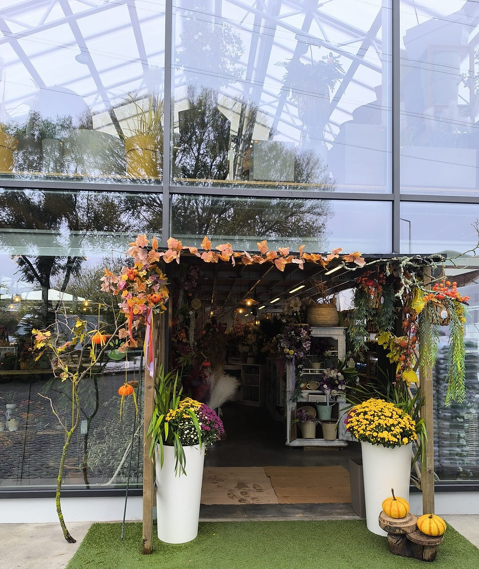 571138008_25176556605302709_8240064150190323938_n