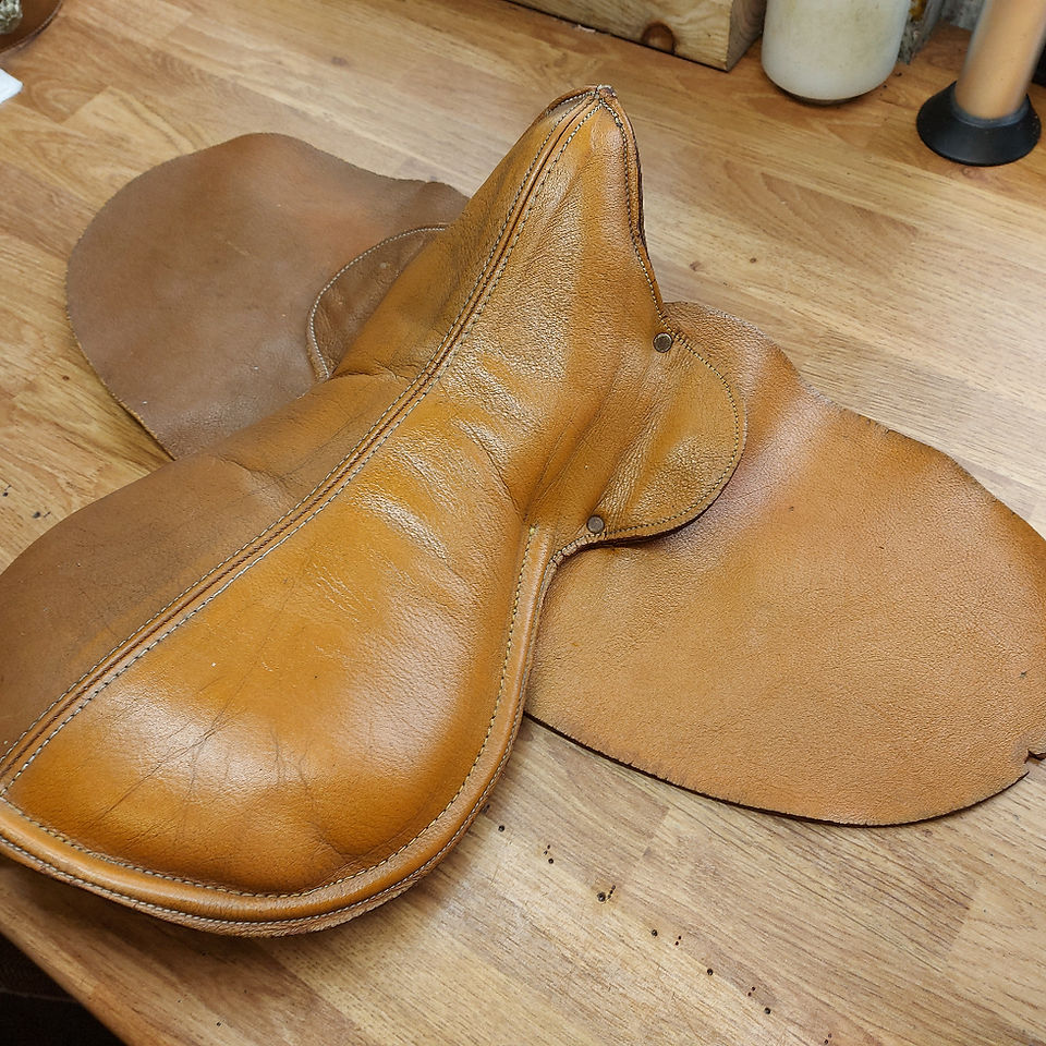 Beginning the cleaning process of the saddle