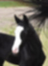 IMG-20240429-WA0004