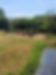 20230608_125512.jpg