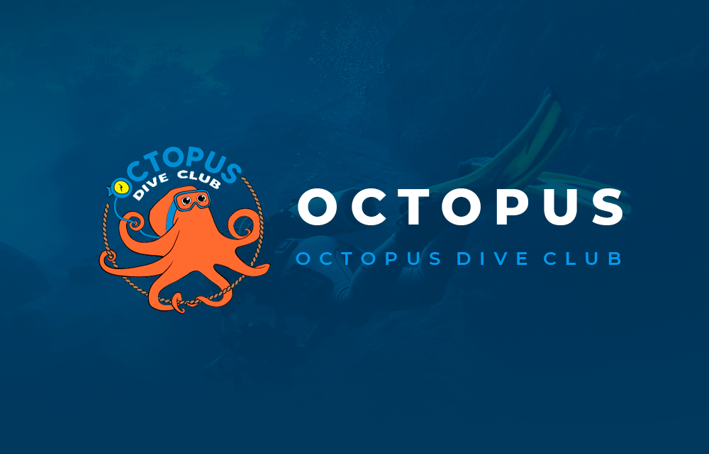 Дайвинг клуб Обучение дайвингу Octopus Dive Club & PADI Москва