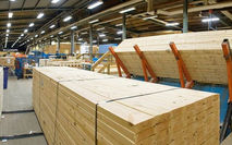 Wood Lumber Supplier