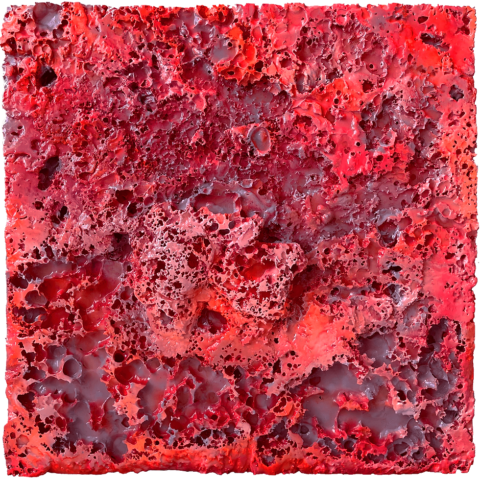 UNTITLED 007