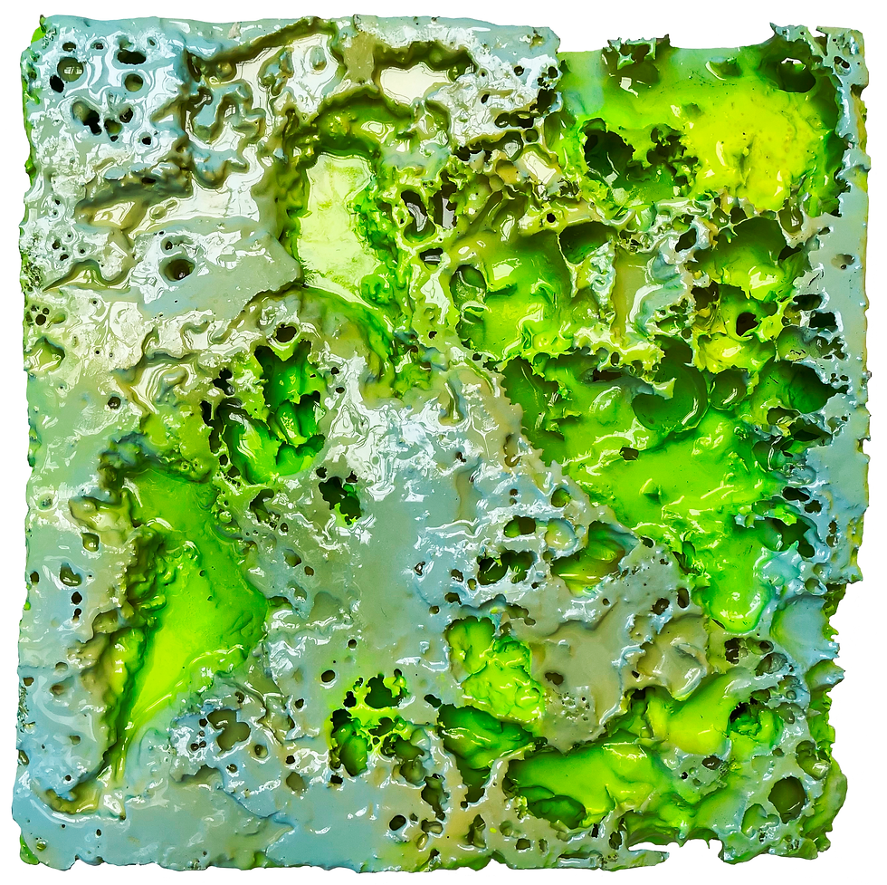 UNTITLED 006