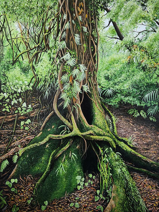 Mokimoki (fragrant fern)