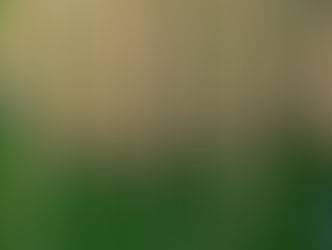 Report 4|60 2.19.22-2.25.22