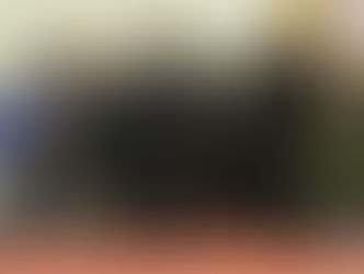 Weekly Report 4|33 6.26.2021-7.16.2021