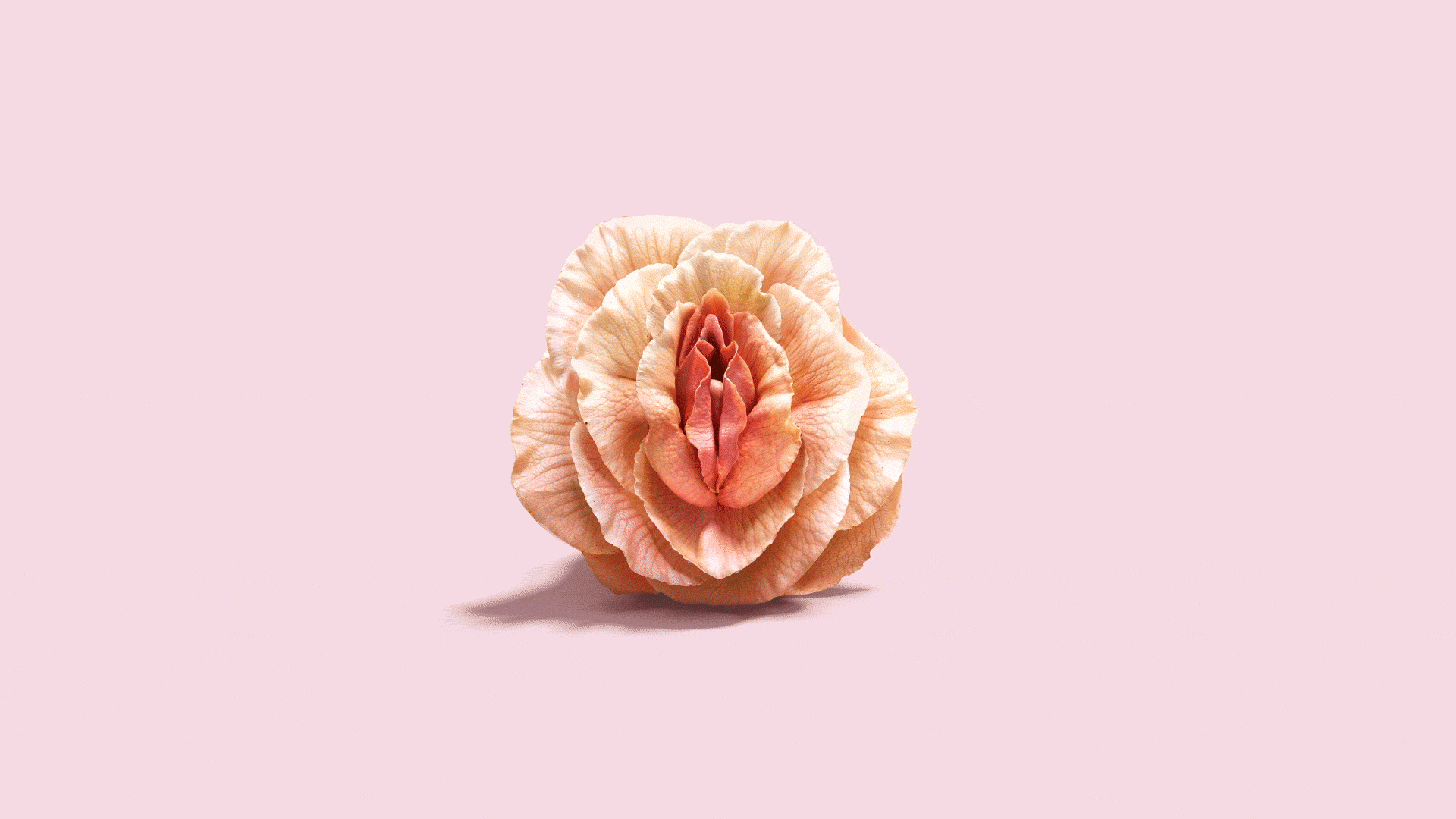 Lady-Garden-PPT-Background (1)