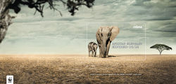 MBNA_EXPIRES_AWARDS ELEPHANT_FOR WEB