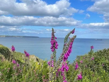 Supporting biodiversity without intensive management