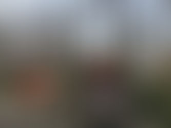 Tannenbaumaktion 2020