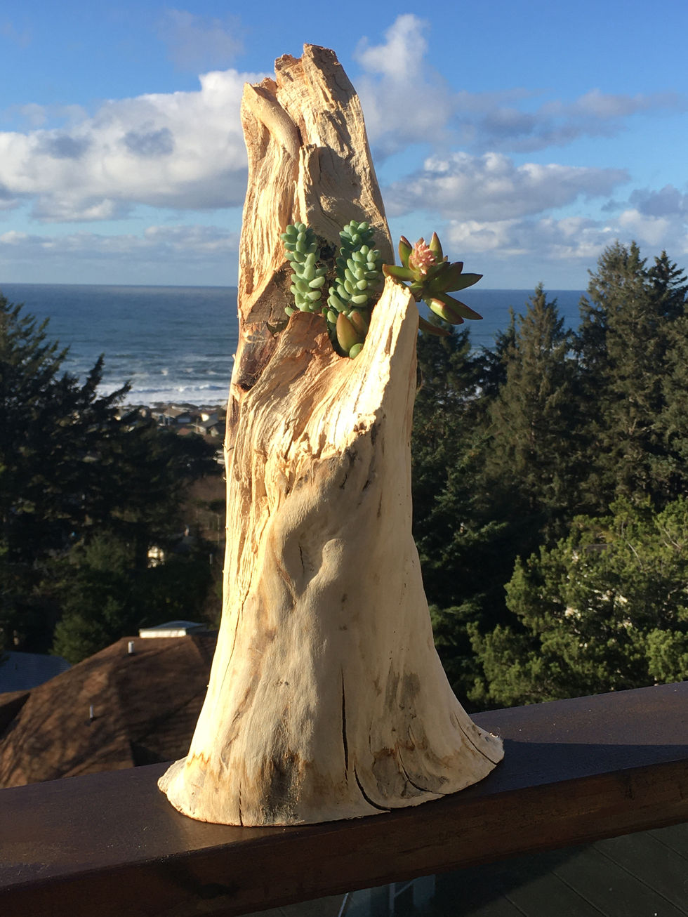 78DCC803-80B8-4B42-8016-38B53876F186