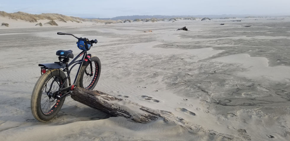 Beach Bike Dreams