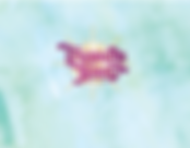 Screen Shot 2018-12-26 at 12.07.41 PM.pn