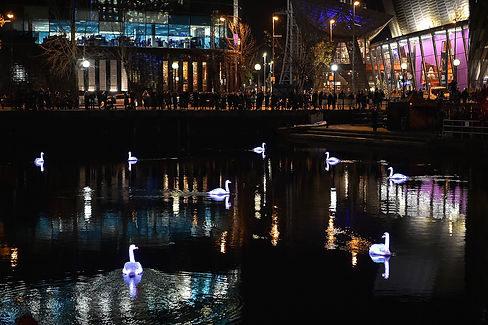 22_Quays Culture_lumina.jpg