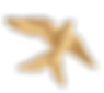 59448444115.png