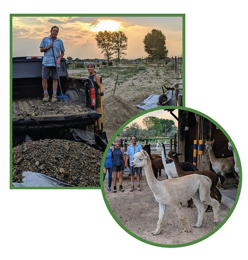 MBS_WEB_Compost_Alpaca_Photo.jpg