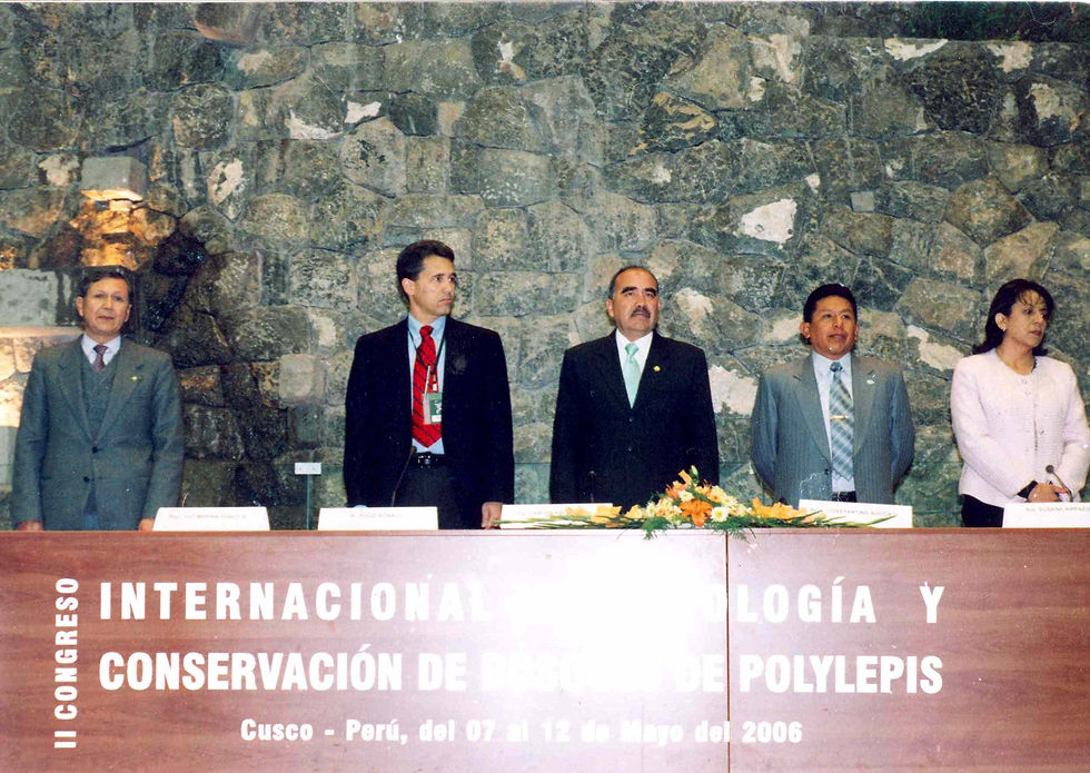 II Congreso Internacional