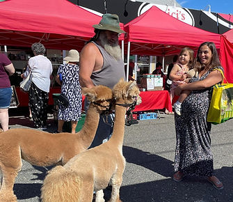 alpacas_edited.jpg