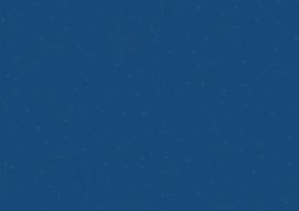 Stellar Leadership Group - Background.png