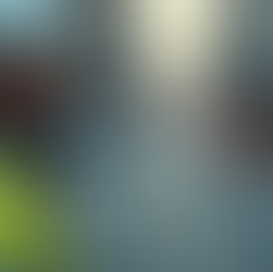 Investigator at incident site.