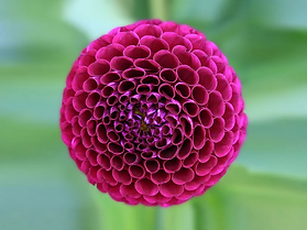 004.webp