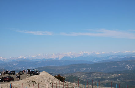 IMG_4748.JPG