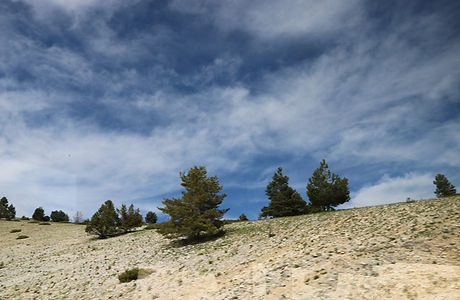 IMG_4787.JPG