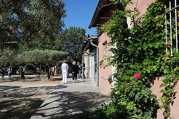 IMG_4618.JPG