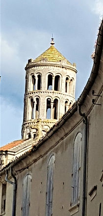 20200613_180835.jpg