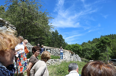 IMG_4705.JPG