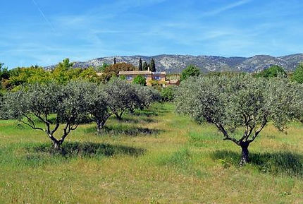 pourquoi-faut-decouvrir-bedoin-provence-