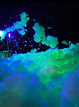 foam party event vip foam party moncton nb, dieppe nb, shediac nb, bouctouche nb, sacville nb, sussex nb