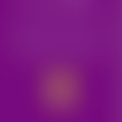 Day 36/40 Women’s Wellness Challenge: All of the “diet” choices out there