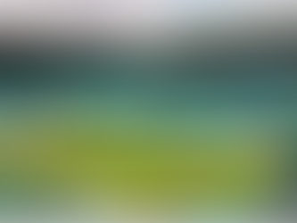 A Brief Wimbledon 2021 Recap