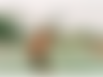 How These 6 Basic Strokes Can Help You Win Matches