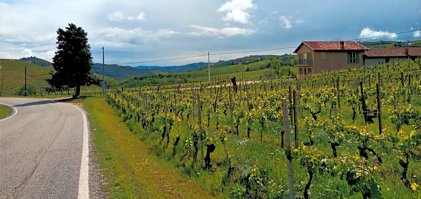 Azienda Agricola Pian Del Bosco, Mango, Moscato d'Asti, Langhe Nebbiolo, Roero Arneis, Dolcetto d'Alba, vino